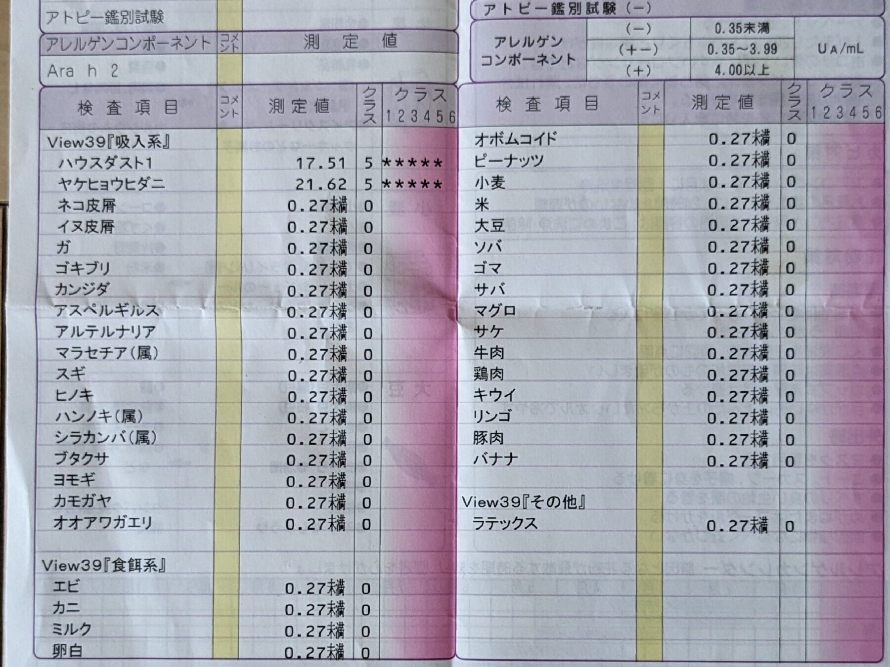 即時型アレルギー検査結果